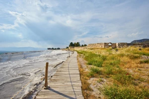 AGD - kluczowy element wyposażenia domu, który ułatwia codzienne życie